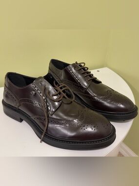 Cavalli Class Men's Dark Brown Crip Wingtip Derby size 9 men H20N13